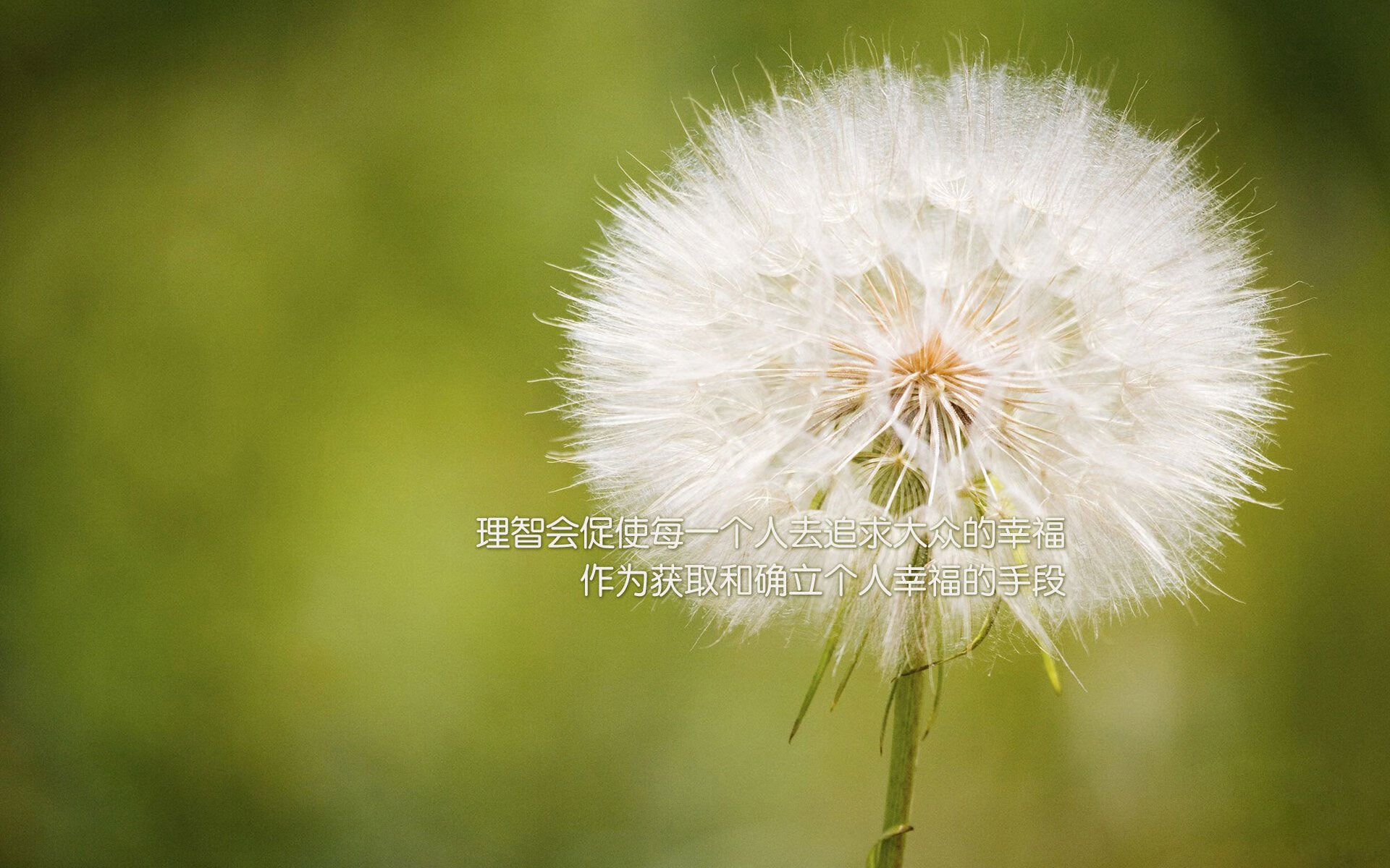 特色乡村野外射箭赛，体验古老狩猎技艺的魅力，野外射箭比赛