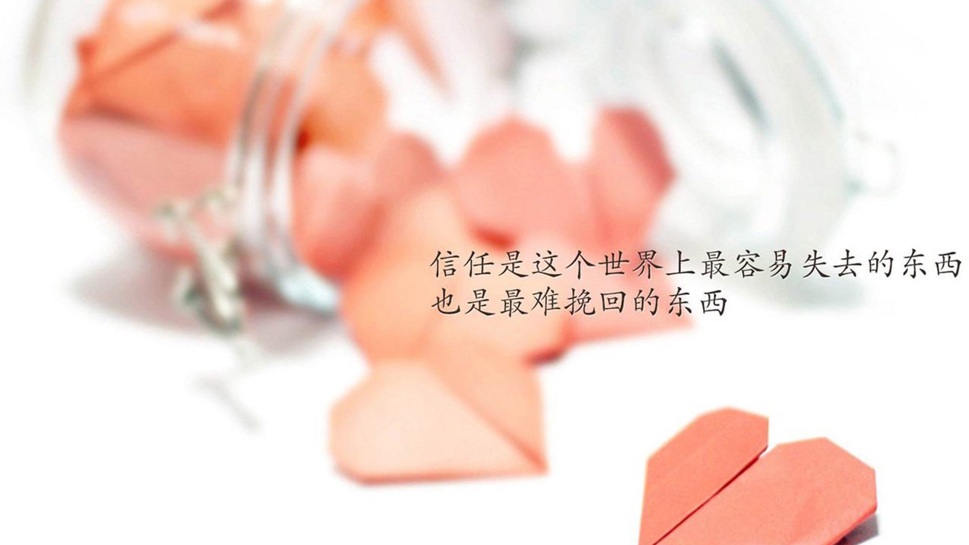 球场传奇：那些成为历史的人物故事，球场传奇_那些成为历史的人物故事