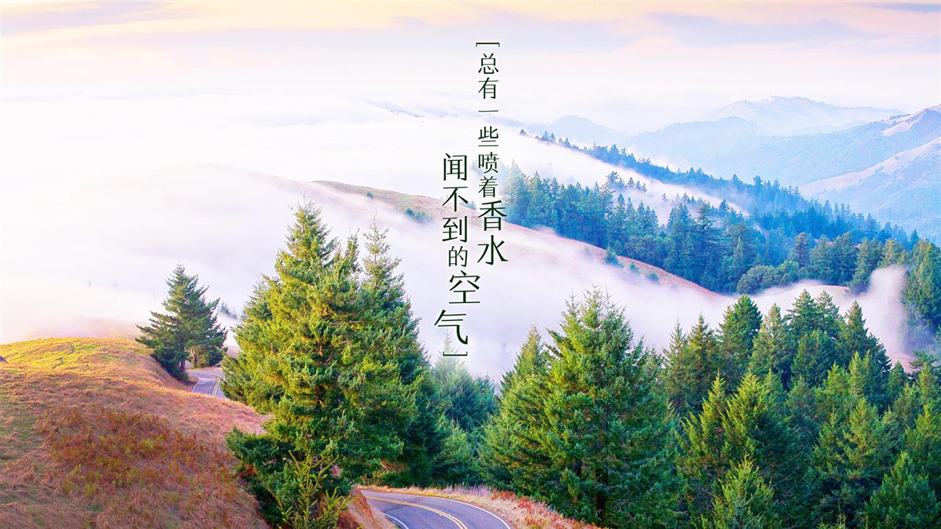 曼城客场憾负皇马，遗憾止步欧冠四强，欧冠分析曼城vs皇马
