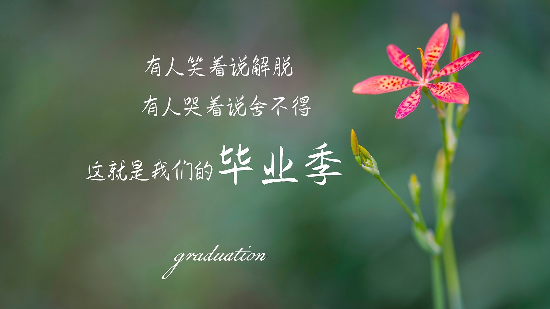 雄鹿带领掘金取得胜利，晋级西部决赛对决勇士，雄鹿晋级东部决赛决赛