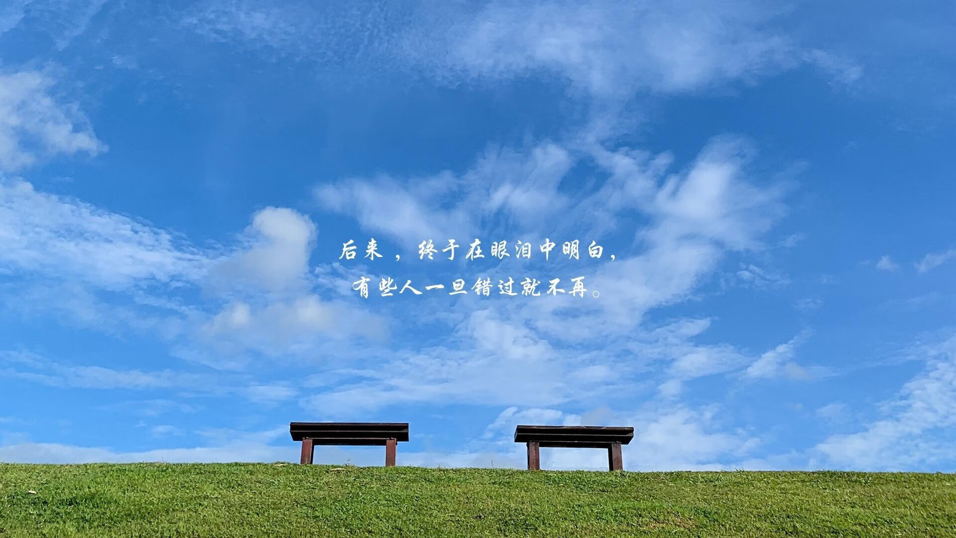 斯洛伐克女篮在欧洲预赛中表现优异，冲击奥运资格，斯洛伐克女子篮球锦标赛