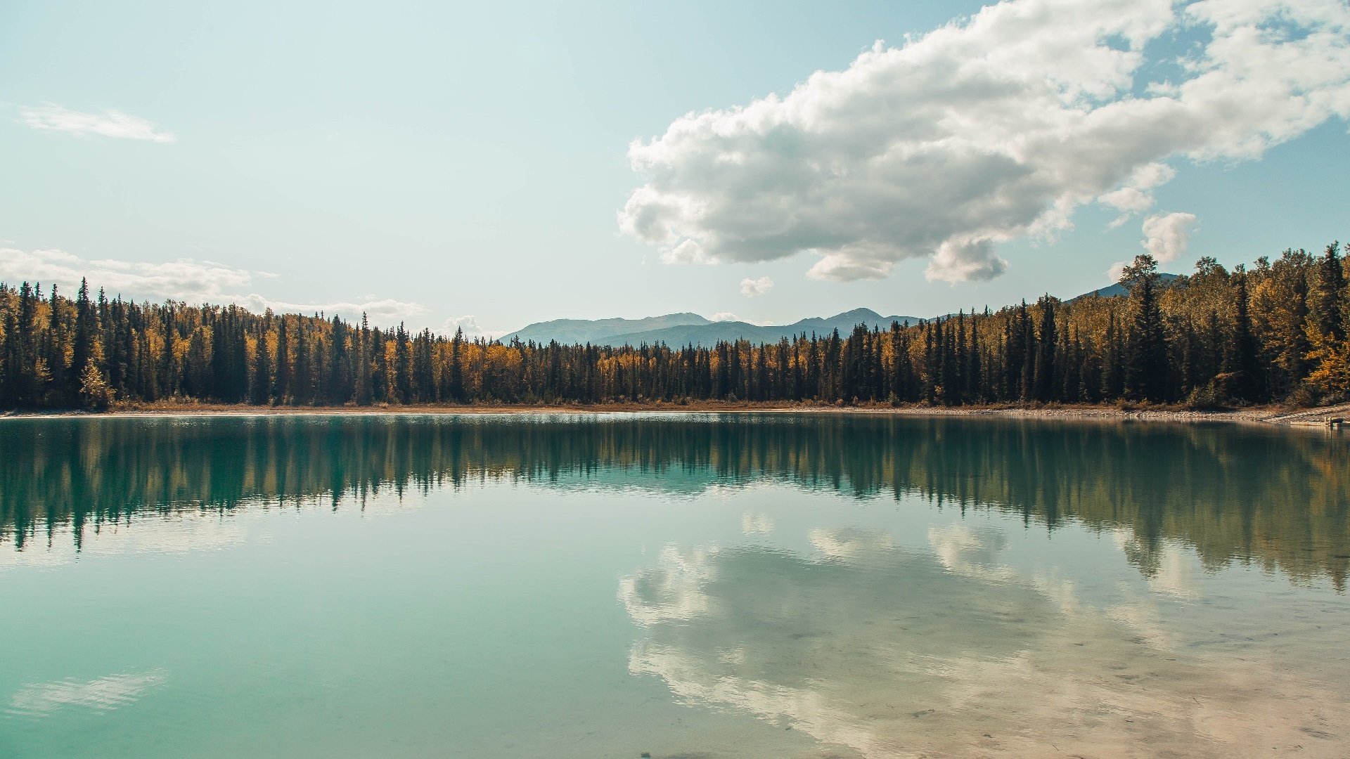 莫莉冲刺力惊人 决胜关键在后程，莫莉 卞