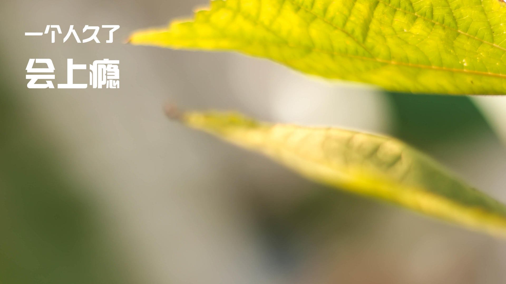 西甲俱乐部巅峰对决：攻势变幻令人惊叹，西甲争冠分析