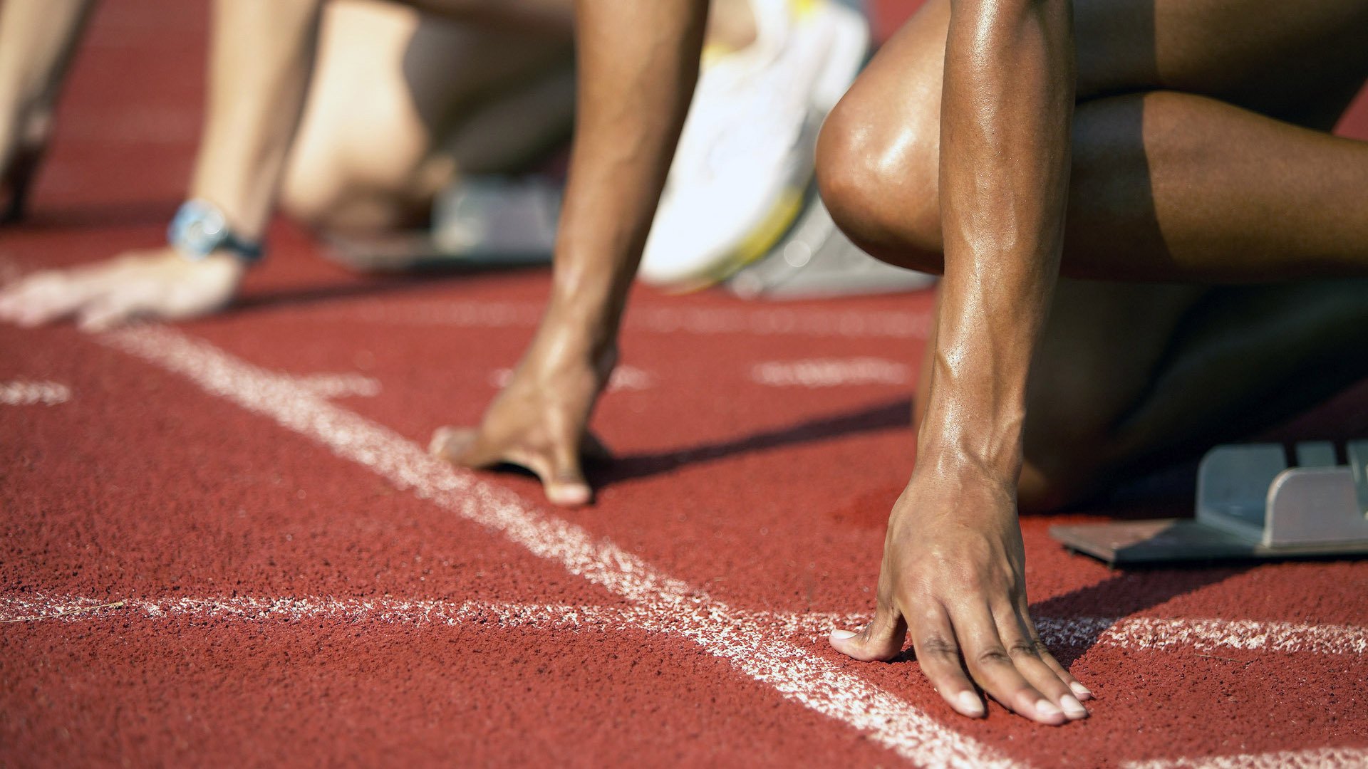 开云官网入口注册-兼收并蓄：联盟中多元文化的精彩展现，兼收并蓄读音是什么意思